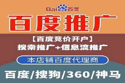 百度竞价与搜索引擎优化（SEO）的协同效应案例